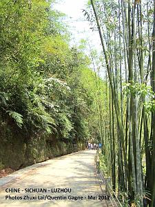Luzhou 074